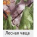 Костюм Алтай N темный лес размер 44-46 Костюм Алтай N темный лес размер 44-46